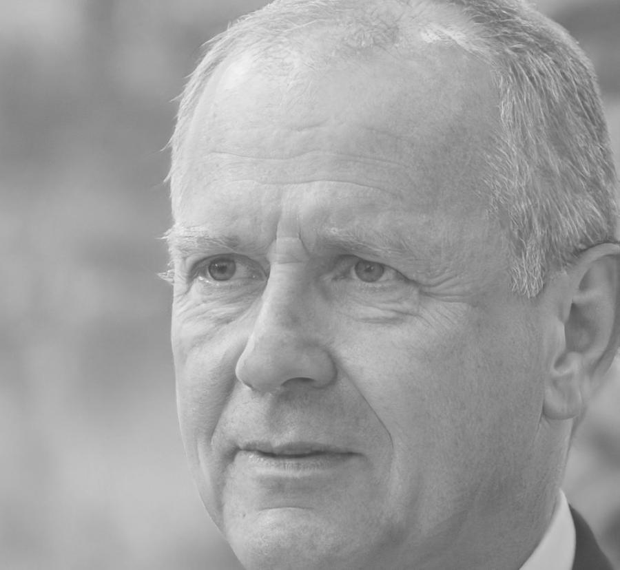 Profesional trabajando con guías de contenido